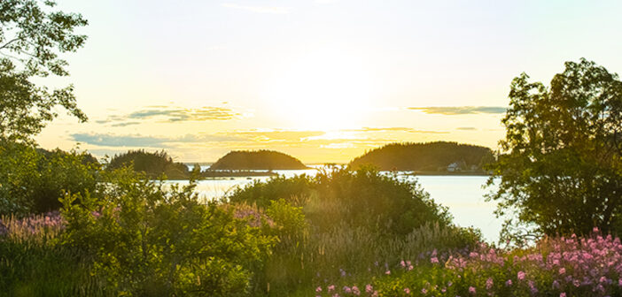 La Route des concerts aux îles du Bic