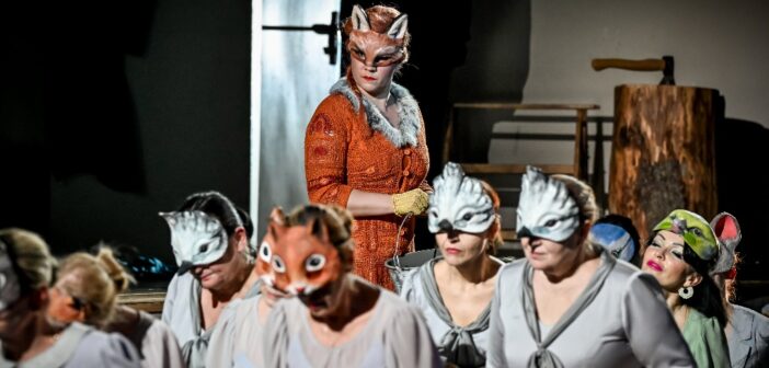 Scene from National Theatre Brno’s The Cunning Little Vixen. Photo: Marek Olbrzymek